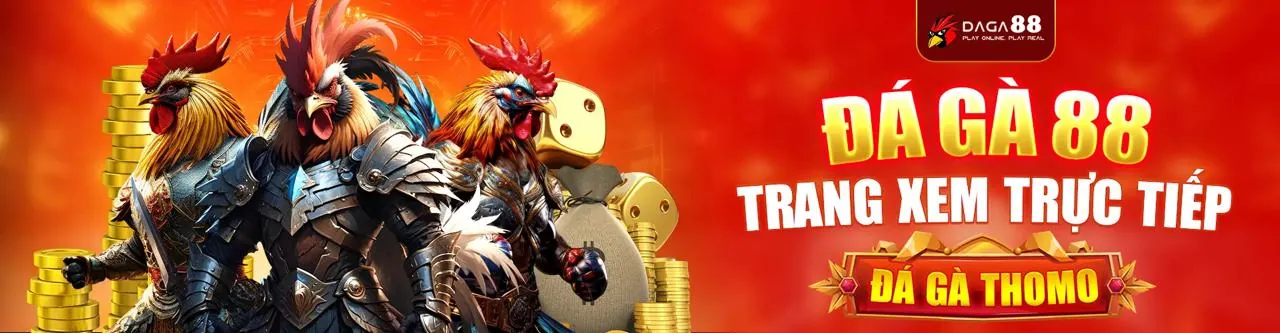 Quy trình tuân thủ GDPR chặt chẽ của yy88 casino